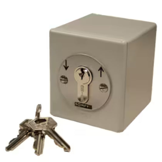Somfy Heavy Duty Momentary Outdoor Key Switch